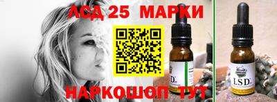гашик Кулебаки