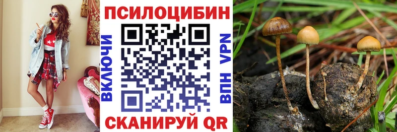 hydra маркетплейс  Кандалакша  Галлюциногенные грибы мухоморы  где найти наркотики 