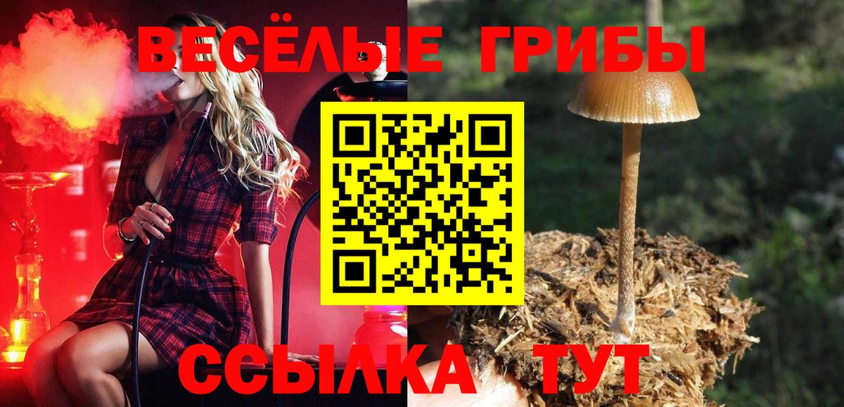 Кандалакша  Псилоцибиновые грибы мухоморы  Вход с VPN 