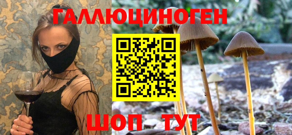 Галлюциногенные грибы Magic Shrooms Кандалакша